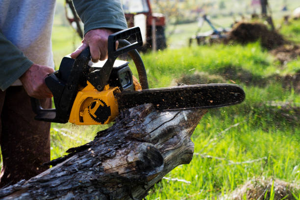 Best Utility Line Clearance  in Pennsboro, WV